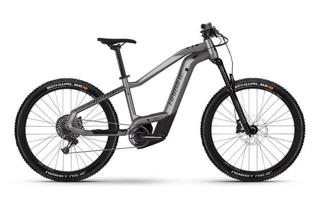 Elektrisches Mountainbike